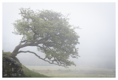 Brent_Tor_St_Micheals_Church2_small