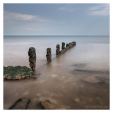 Dawlish_Warren_Devon_colour_small