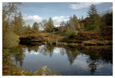 Holme_Fell_View_6_small
