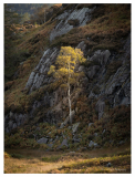 Holme_Fell_route_1_small