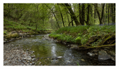 Lydford_Gorge_3_small