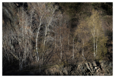 Malvern_Quarry_small