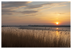 Newnham-Severn-River1_small