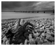 Severn_Beach_Log_small