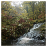 Venford-Reservoir-woods-small